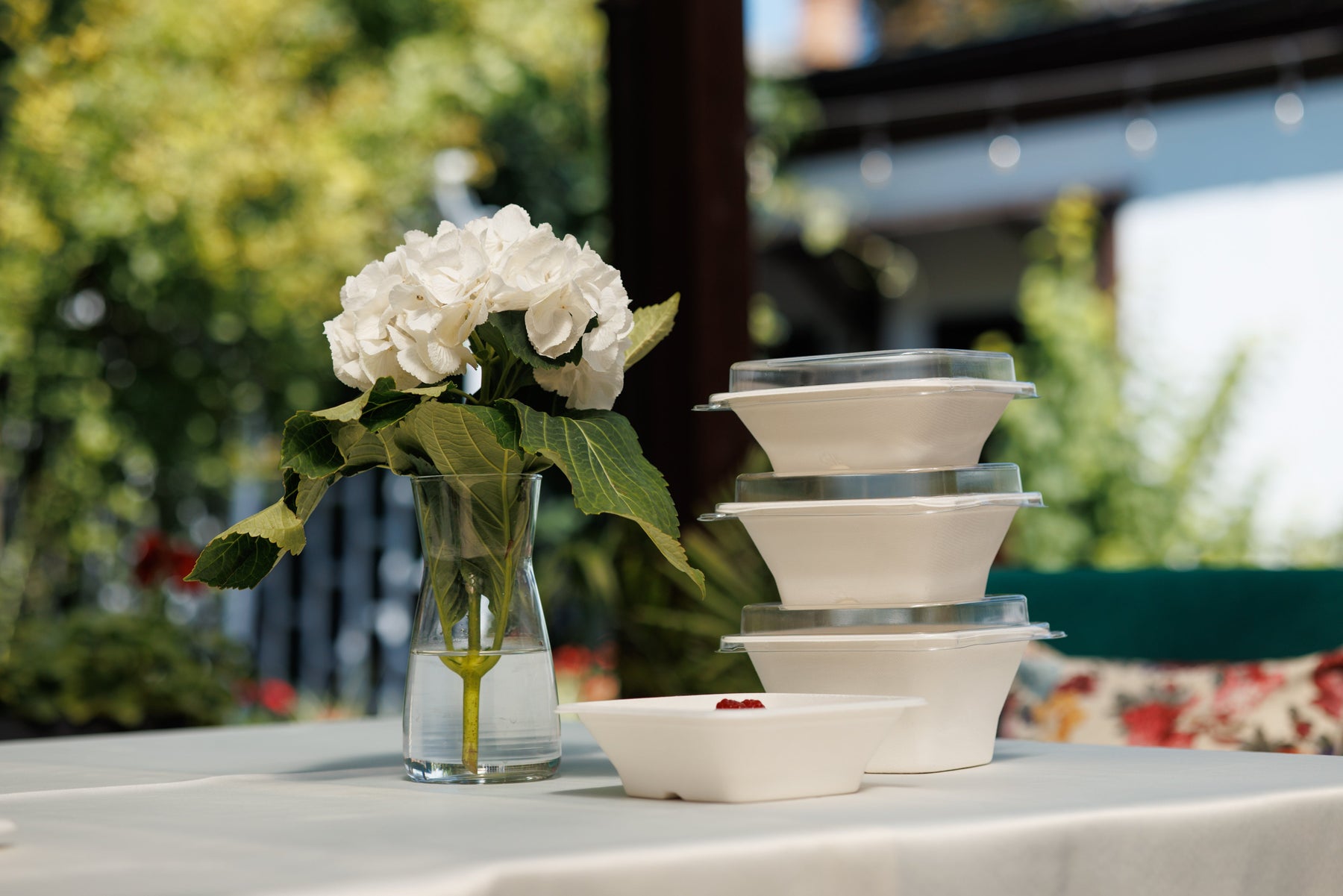 Jak przejść na ekologiczne naczynia bez dodatkowych kosztów?