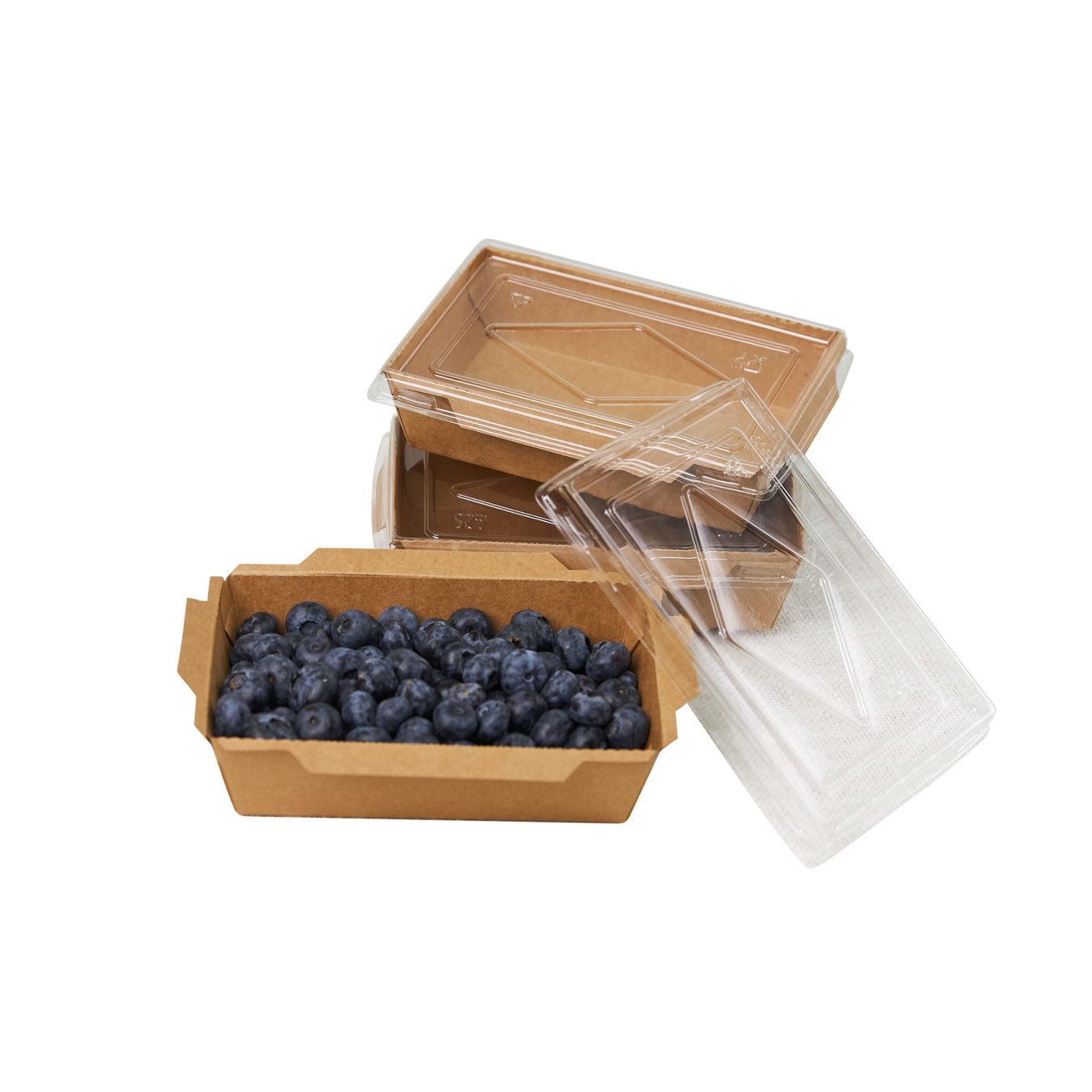 Lunchboxen aus Papier