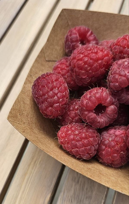 b4877d2e75e8e6c461ecdbc695772b9a